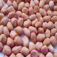 Raw peanut நிலக்கடலை 500g
