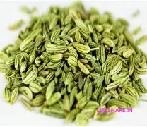 Fennel seeds சோம்பு (Sombu) 100 gram